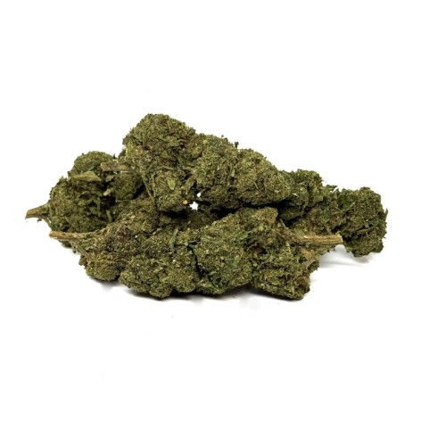 FLEURS VRAC CBD - LA FRAPPE DELTA NL1 + 10 OH-HHC