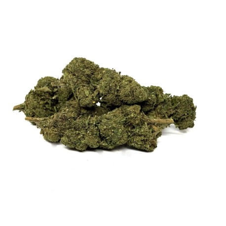 FLEURS VRAC CBD - LA FRAPPE DELTA NL1 + 10 OH-HHC