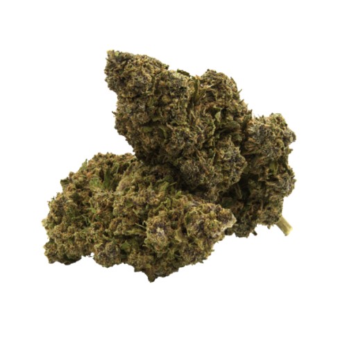 FLEURS VRAC CBD - TROPICAL PUNCH