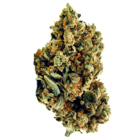 FLEURS VRAC CBD - AMNESIA HYDRO