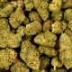 SILVER HAZE