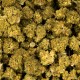Fleurs CBD Cherry REDLINE